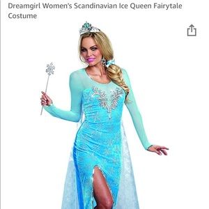 Adult Princess Elsa Snow Queen Costume